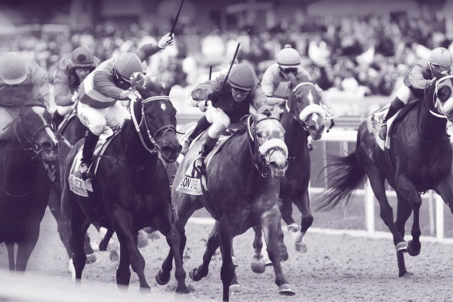 durban july 2020 tips