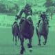 Horse Racing at Kenilworth racecourse