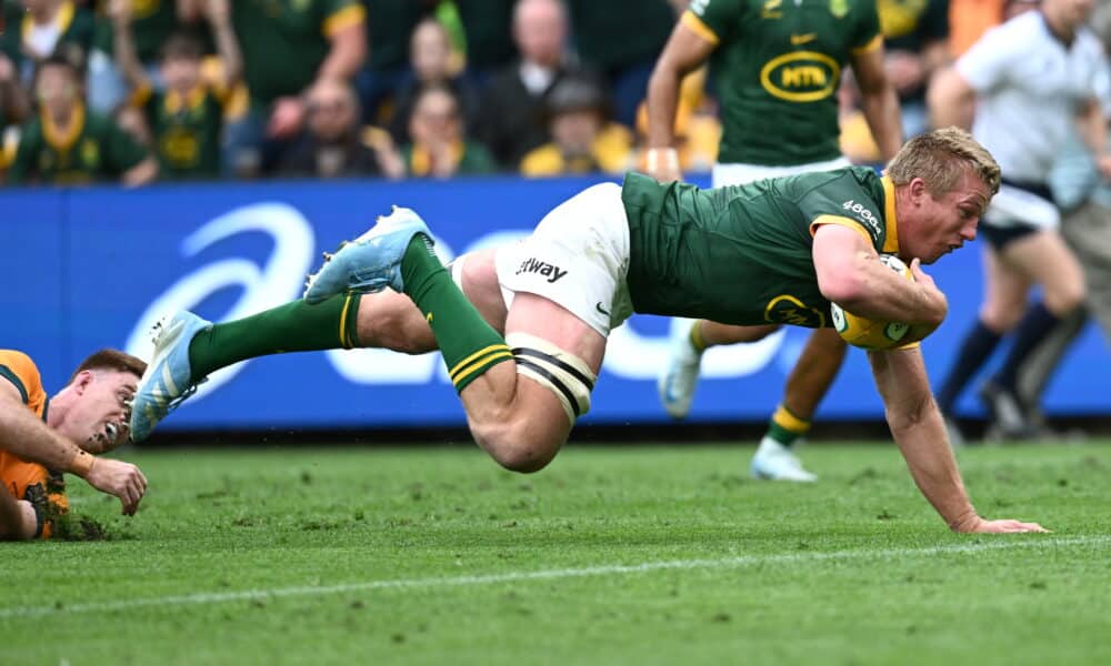 Springboks