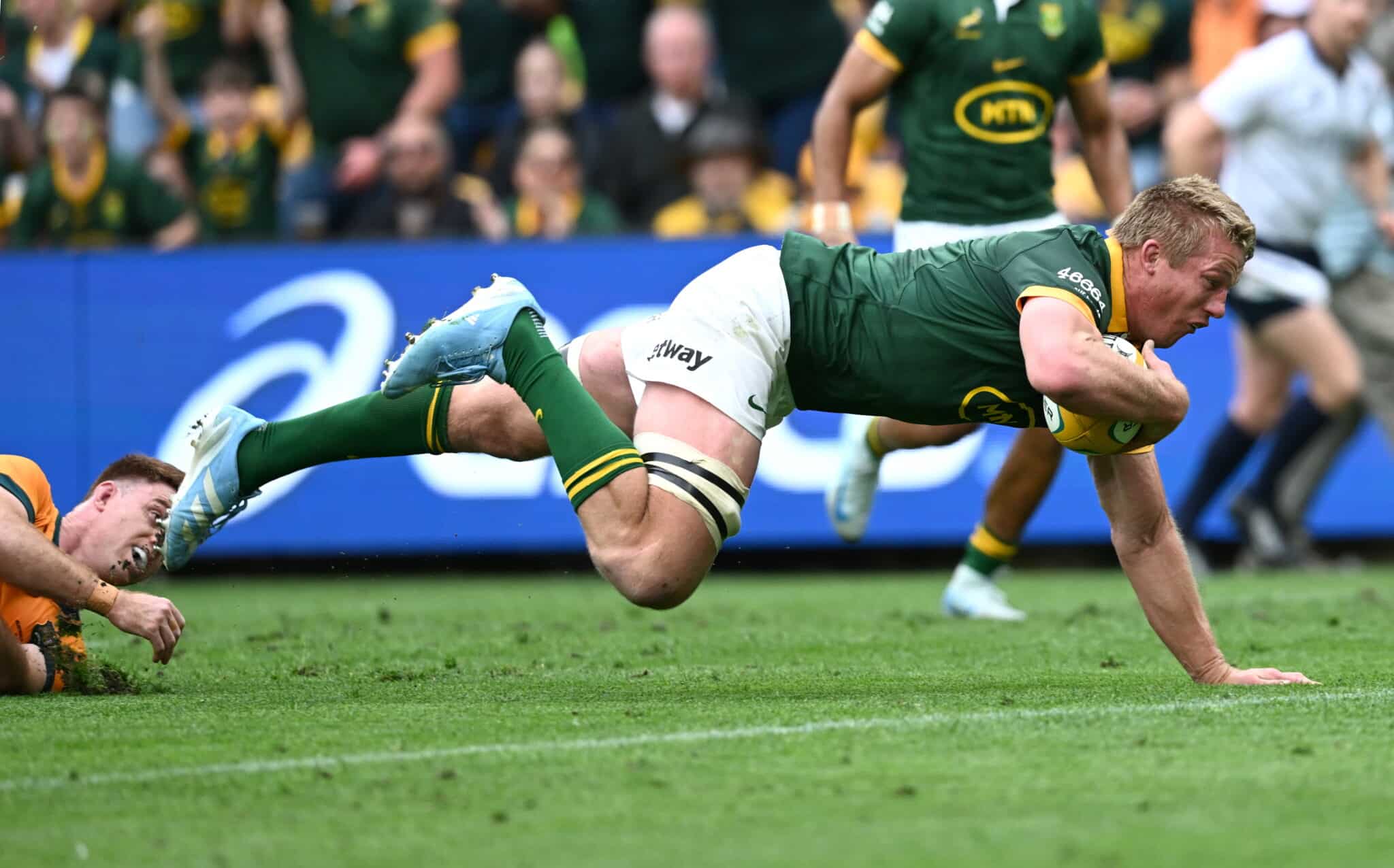 Springboks
