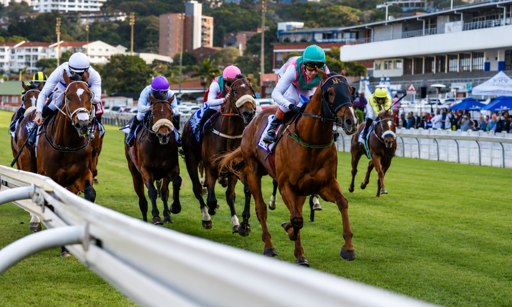 Hollywoodbets Greyville Racecourse