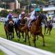 Hollywoodbets Greyville Racecourse