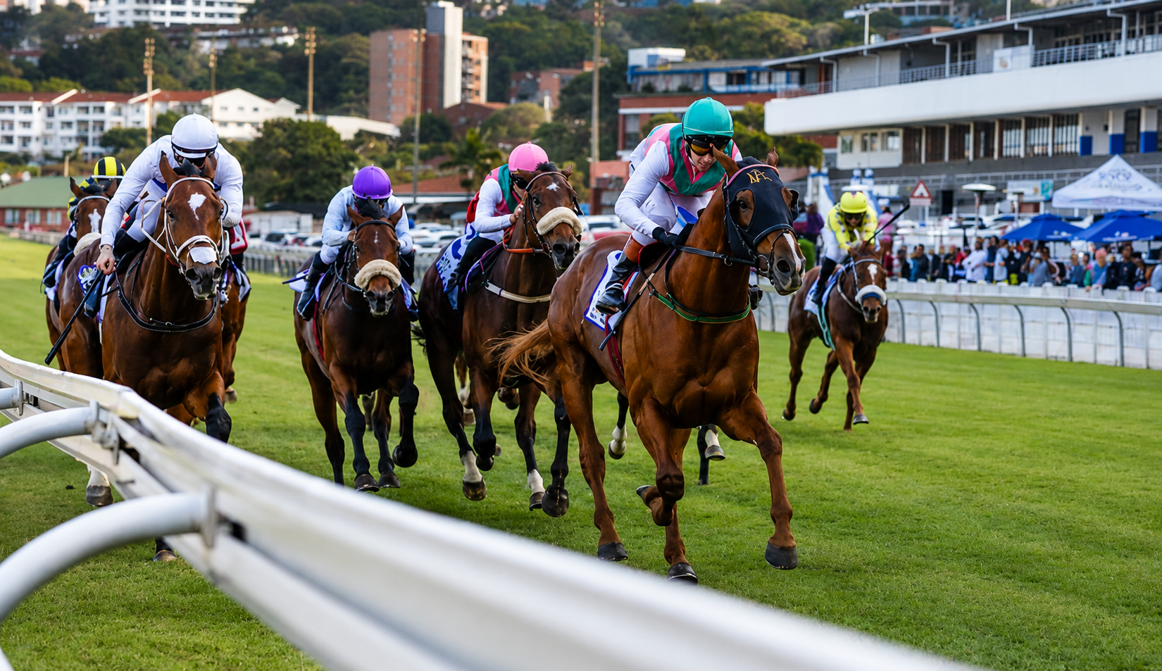 Hollywoodbets Greyville Racecourse