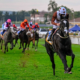 Scottsville Racecourse Preview