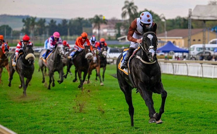 Scottsville Racecourse Preview