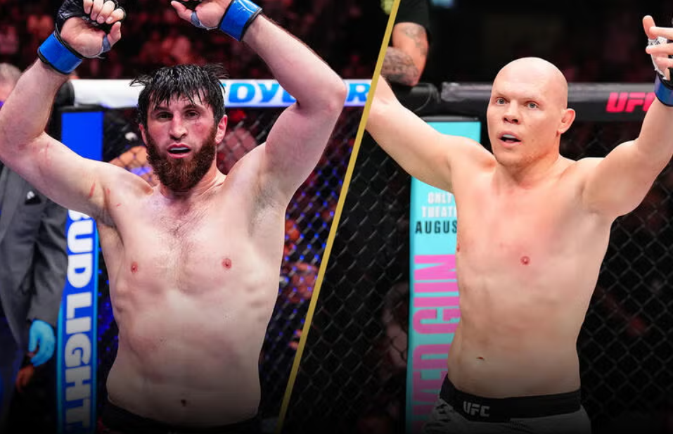 Ankalaev vs Guskov